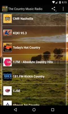 The Country Music Radio Free android App screenshot 2